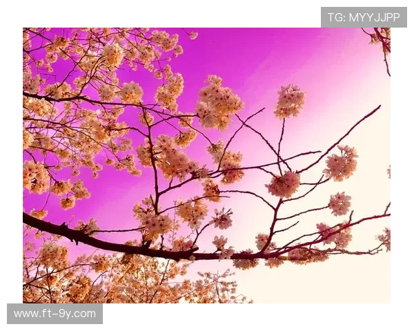 以好看旋转足球樱花为中心的唯美春日动感主题视觉创意魅力探索之旅